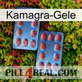 Kamagra Gels 05